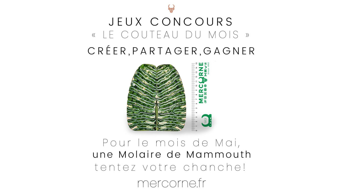 Jeux concours Mai : tentez de gagner cette molaire de Mammouth 